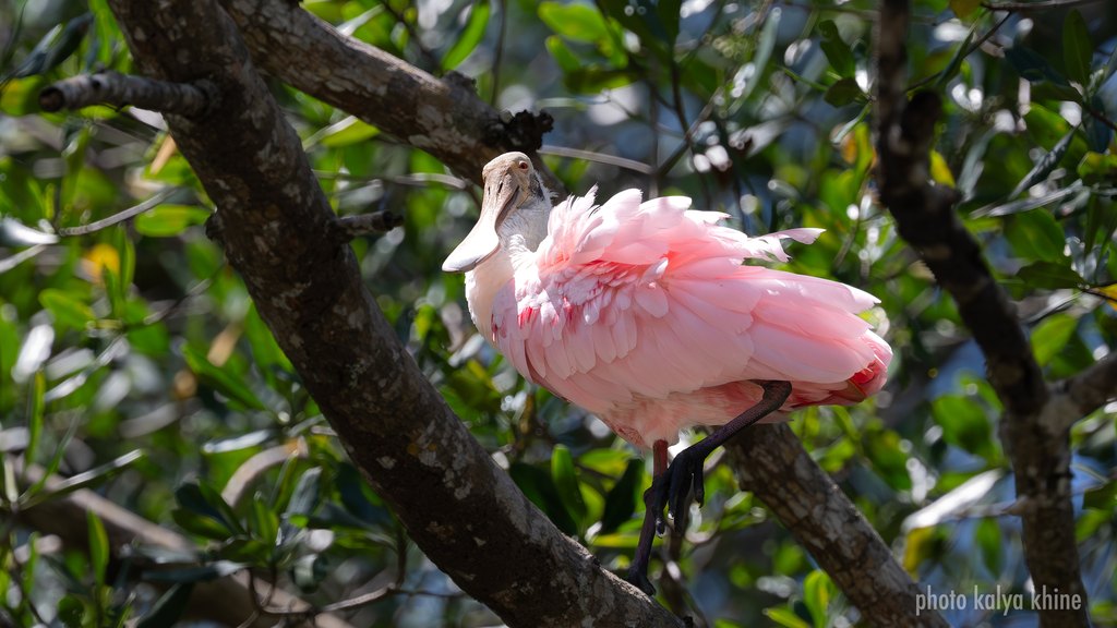 Costa Rica – Impression 5