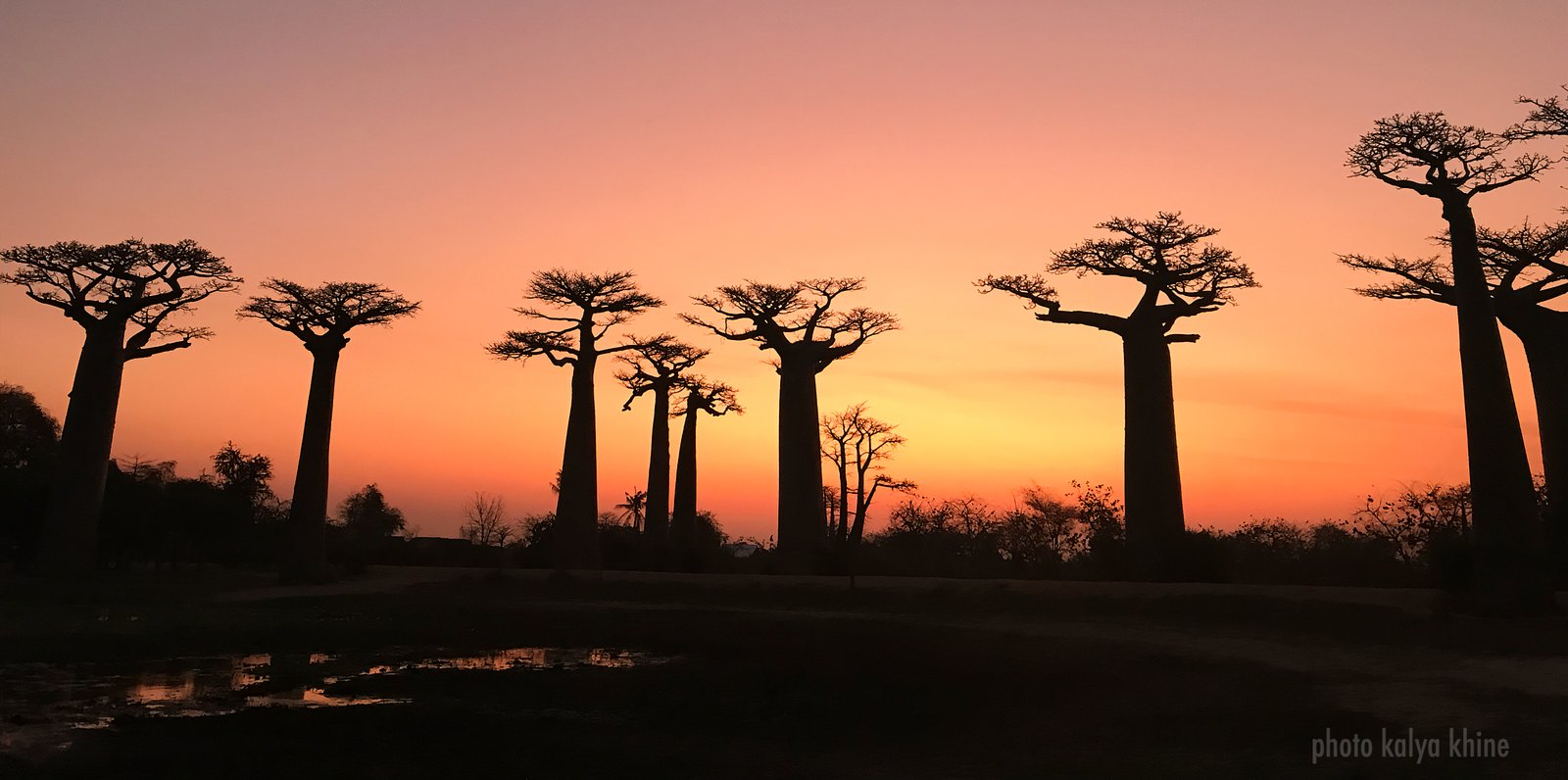 Baobab-Allee bei Sonnenuntergang, Madagaskar