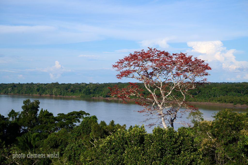 Amazonas-Fluss in der Abendsonne, Peru