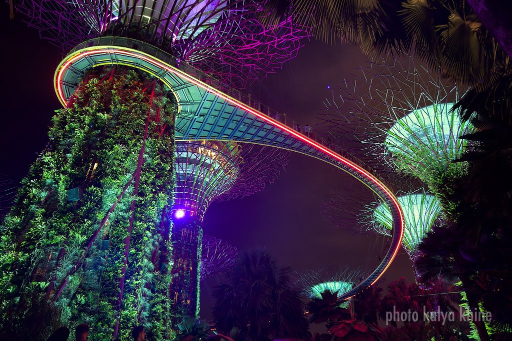 Singapur & Borneo – Impression 4